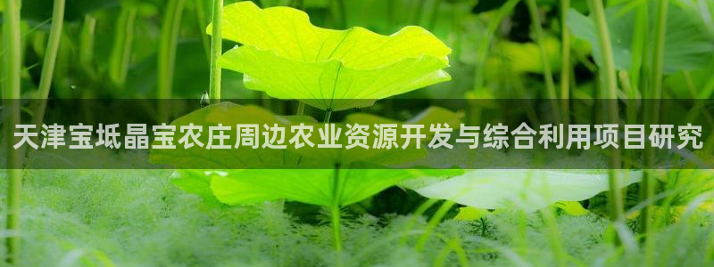 天辰娱乐39596