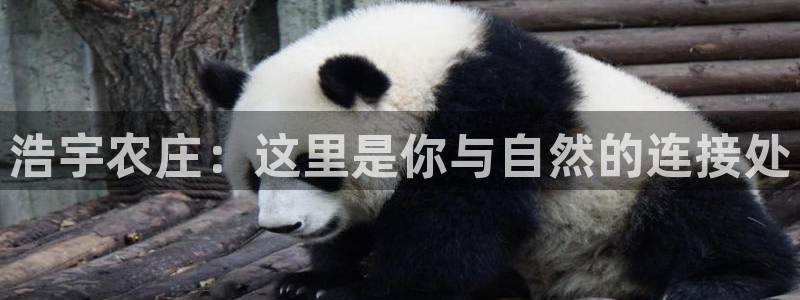 天辰娱乐557696