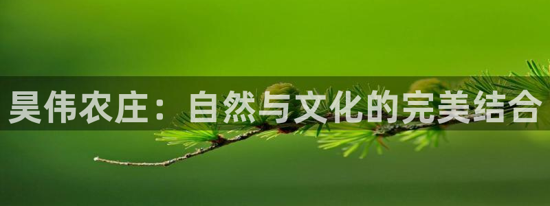 天辰娱乐简介