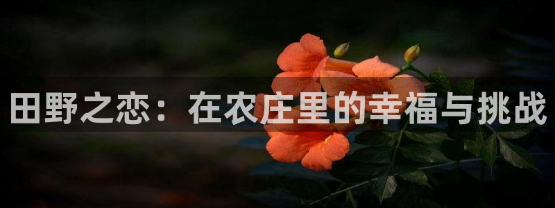 天辰娱乐传媒