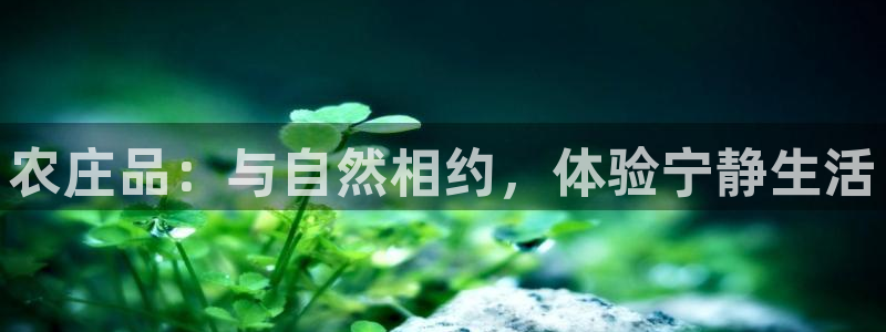 天辰娱乐2