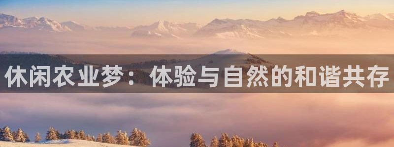 天辰娱乐会员