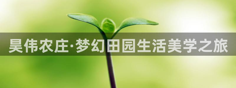 天富娱乐天辰娱乐