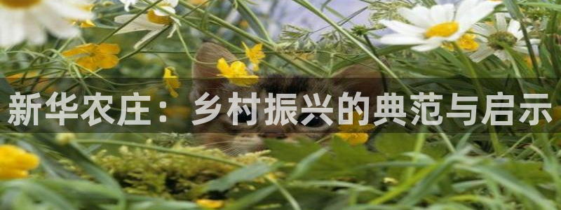 天辰娱乐平台注册