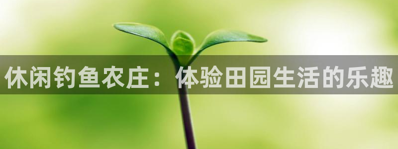 天辰娱乐视频
