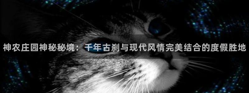 天辰娱乐代理