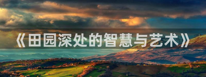 天辰娱乐老板