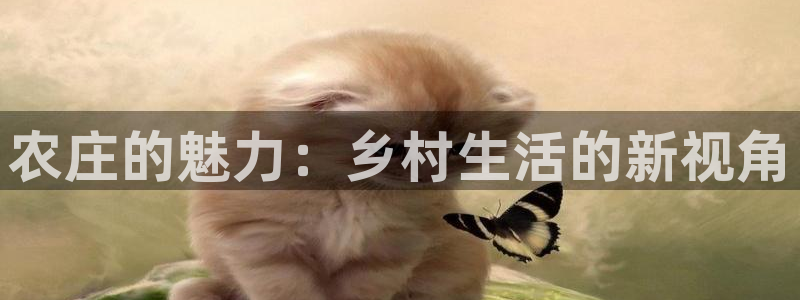 天辰2娱乐