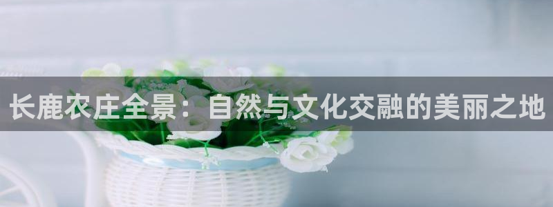 天辰娱乐待遇