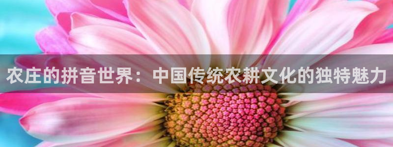 天辰娱乐棋牌