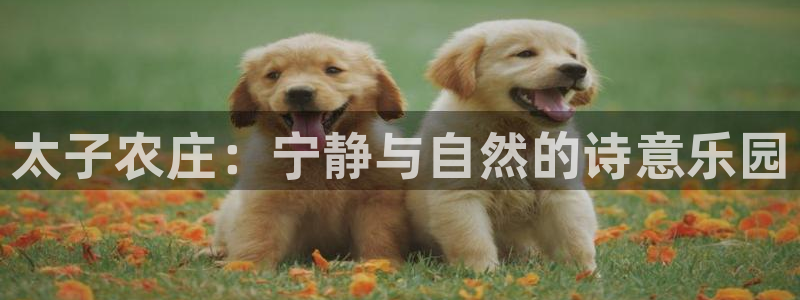 天辰娱乐新闻