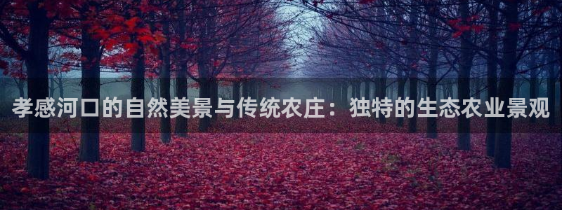 天辰娱乐娱乐