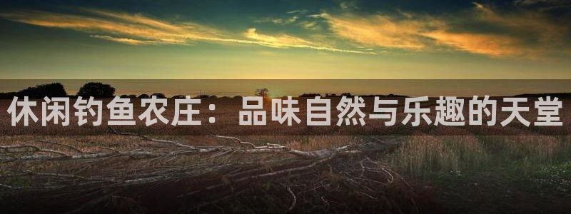 天辰娱乐2