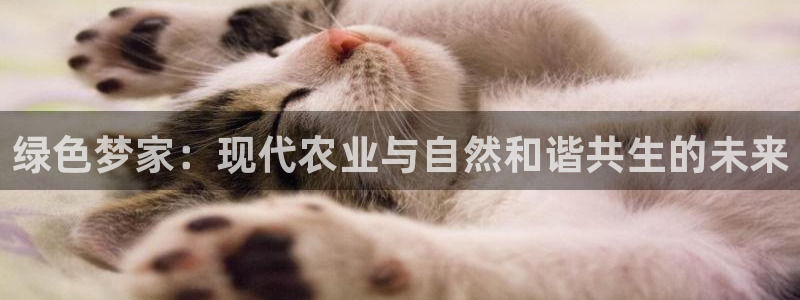 天辰臣娱乐