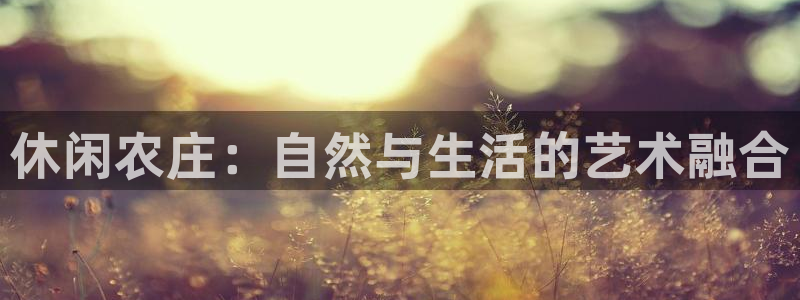 天辰娱乐 qq