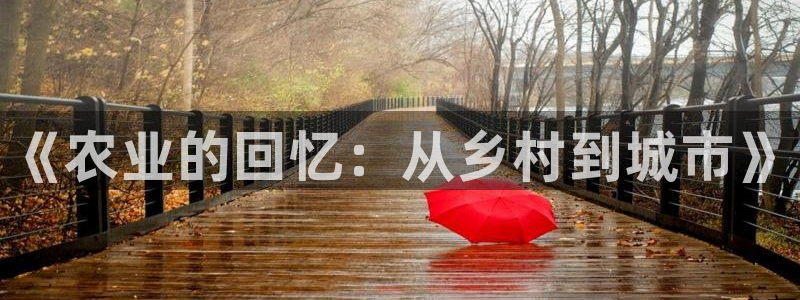 天辰娱乐登陆平台