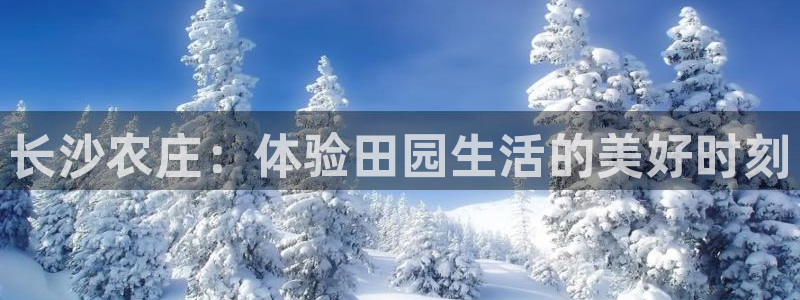 天辰团队贝高娱乐