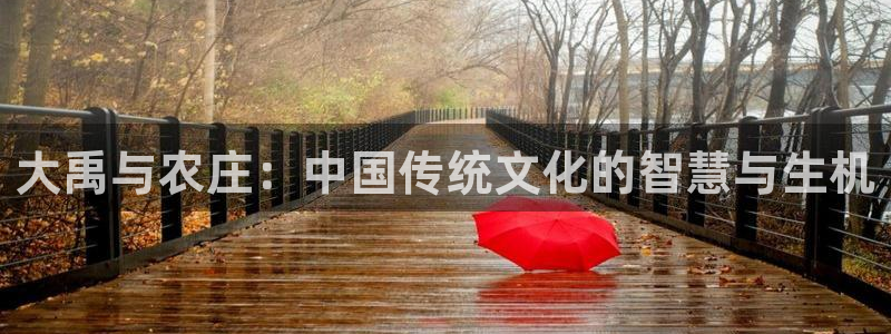 天辰娱乐 天辰平台