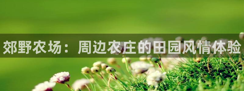 天辰娱乐反水