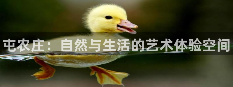 天辰娱乐注册登录