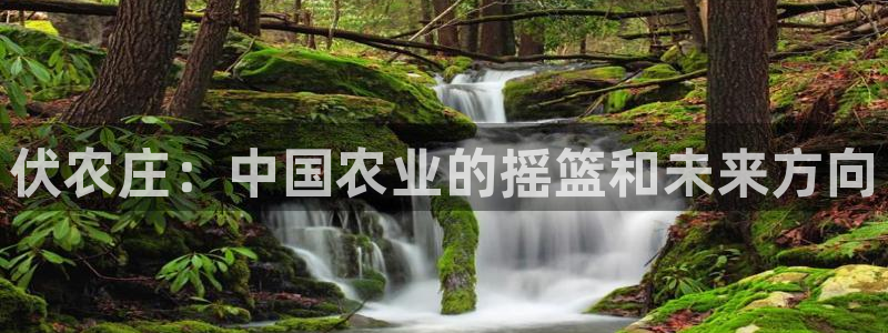 天辰娱乐总管
