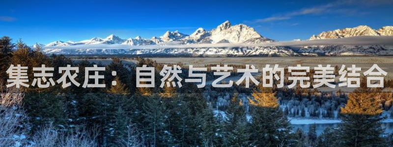 天辰娱乐官网平台入口