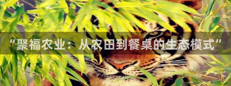 天辰国际娱乐