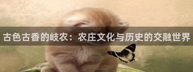 天辰娱乐游戏平台怎么样