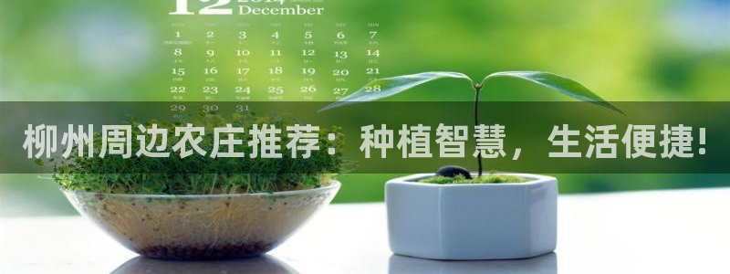 手机上怎么下载天辰娱乐