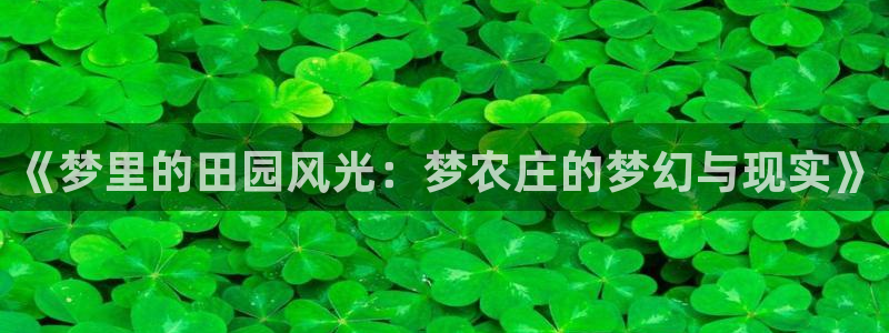 天辰娱乐APP下载