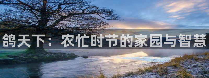 天辰娱乐登录网址