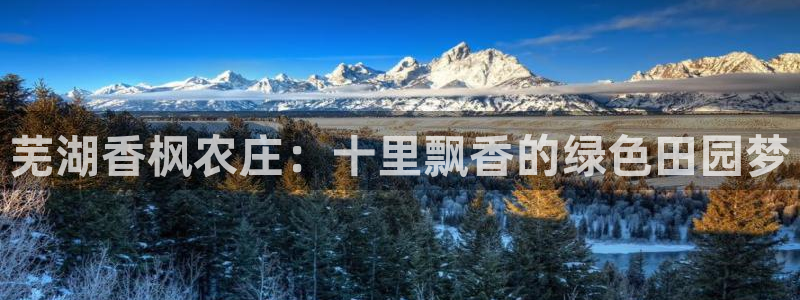 手机上怎么下载天辰娱乐