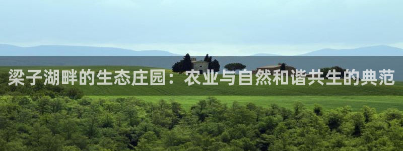 天辰娱乐10086