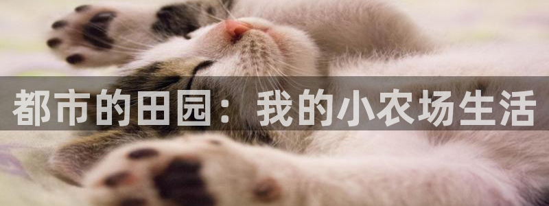 天辰娱乐7天22650