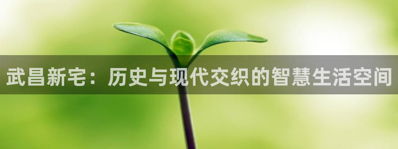 天辰娱乐游戏平台怎么样