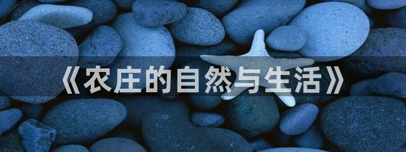 天辰娱乐登录测试