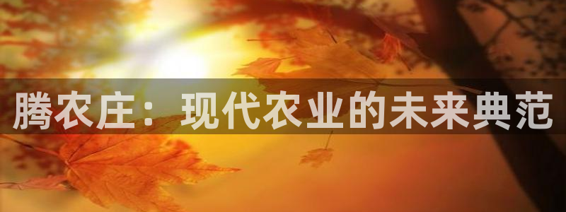 天辰娱乐总管年薪