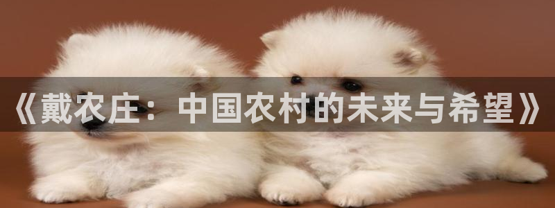 天辰娱乐1996