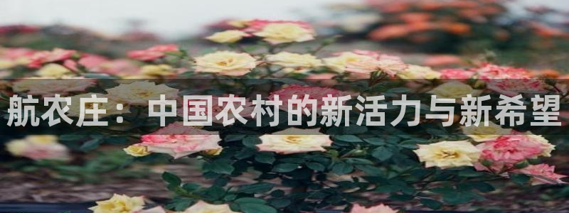 天辰娱乐指尖所