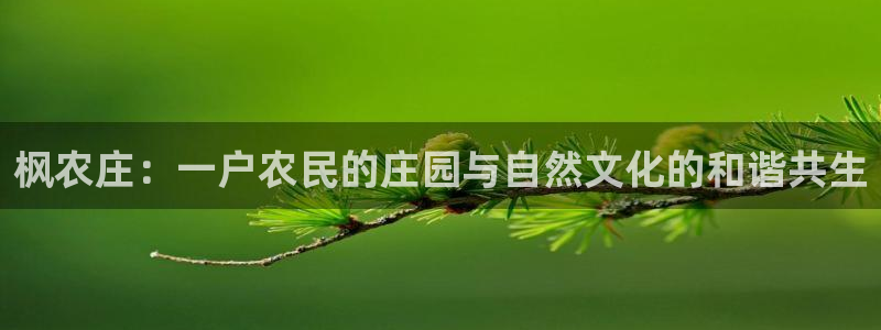 天辰娱乐天辰注册登录