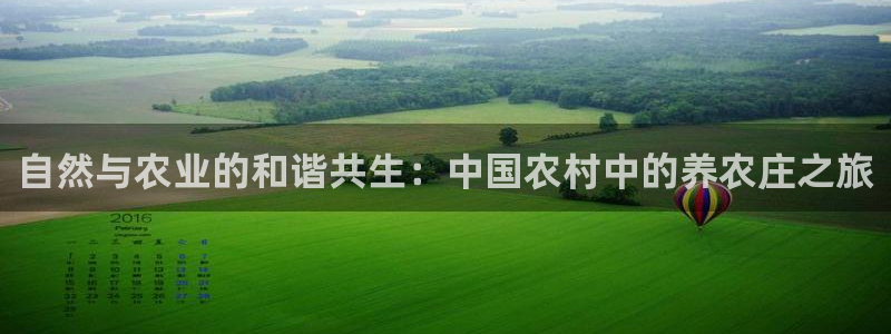 天辰娱乐1956
