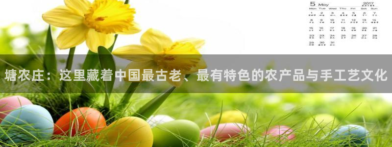 天辰娱乐所