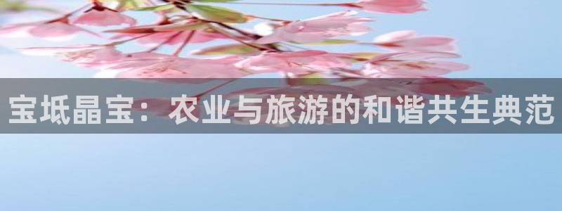 天辰娱乐简介