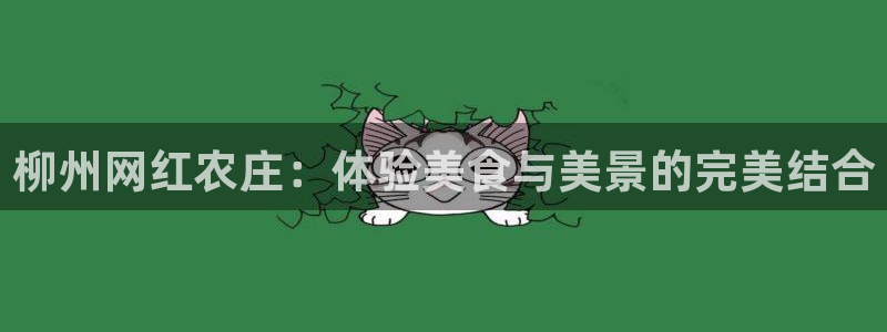 深圳天辰娱乐
