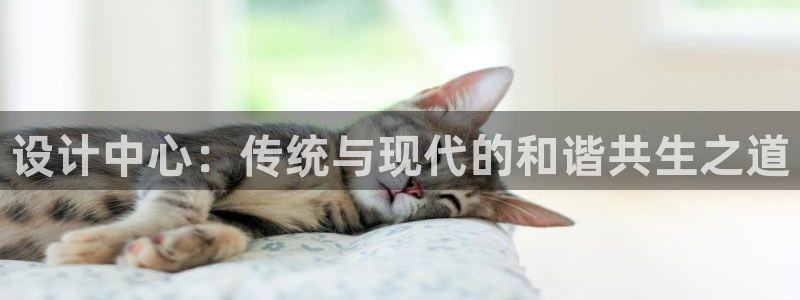 天辰娱乐简介