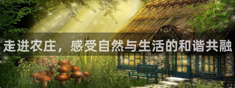 天辰娱乐娱乐平台