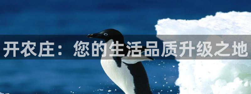 天辰娱乐网址娱乐游戏