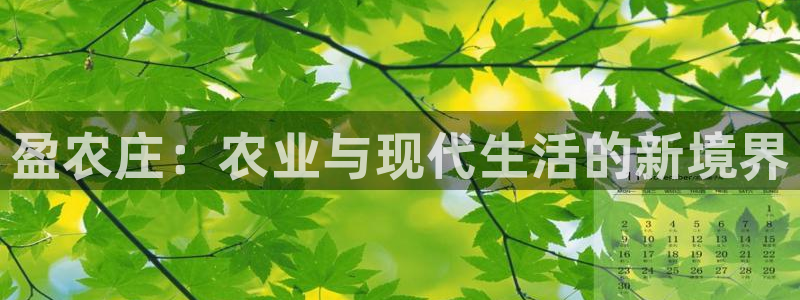 天辰娱乐22650