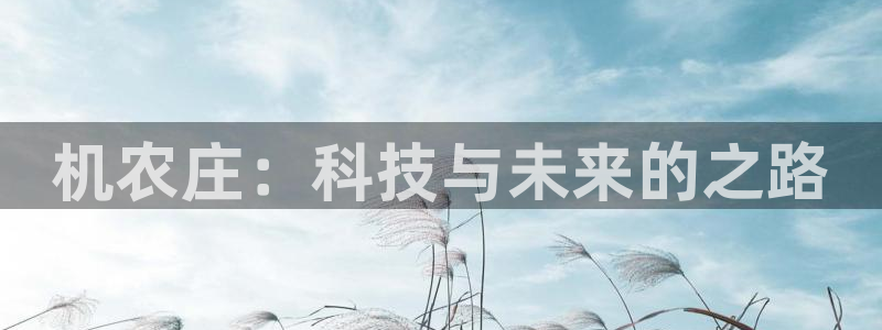 辰天娱乐用品