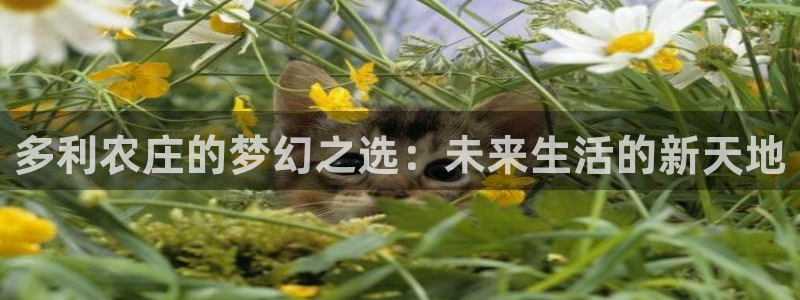 天辰娱乐总管年薪